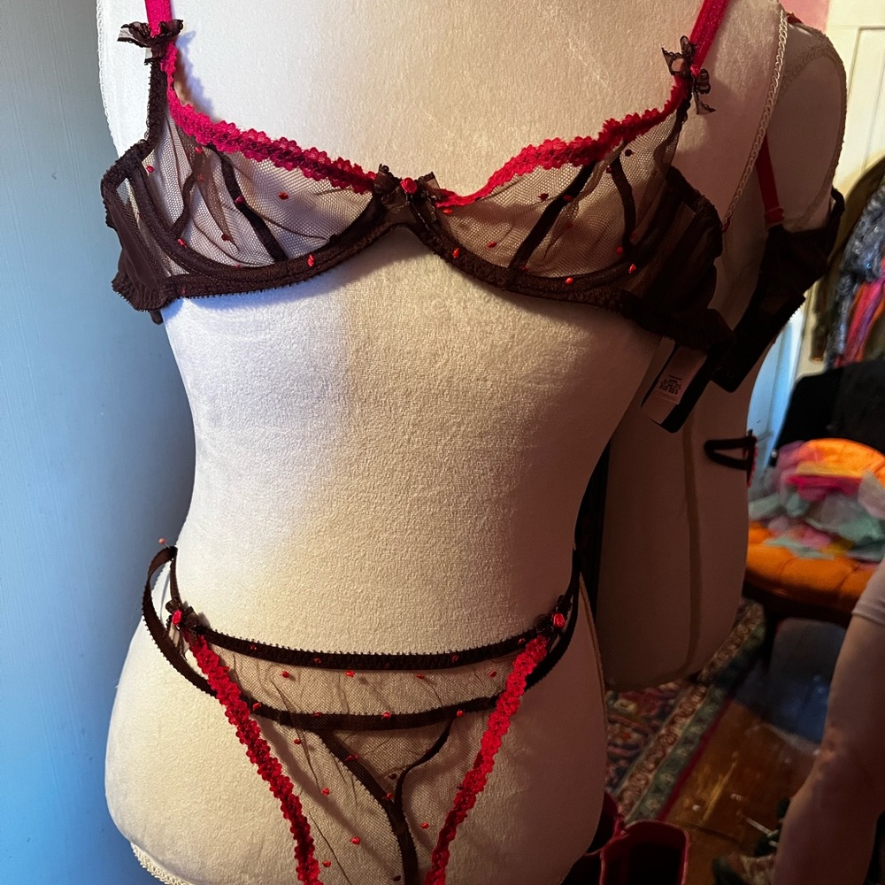 Agent Provocateur Pink and Brown Sheer Lace Bra